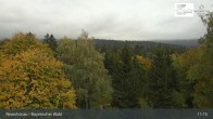 Archiv Foto Webcam Neuschönau - Besucherzentrum Nationalpark Bayerischer Wald 10:00