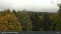 Archiv Foto Webcam Neuschönau - Besucherzentrum Nationalpark Bayerischer Wald 12:00