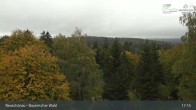 Archiv Foto Webcam Neuschönau - Besucherzentrum Nationalpark Bayerischer Wald 16:00