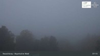 Archiv Foto Webcam Neuschönau - Besucherzentrum Nationalpark Bayerischer Wald 06:00