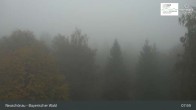 Archiv Foto Webcam Neuschönau - Besucherzentrum Nationalpark Bayerischer Wald 07:00
