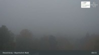 Archiv Foto Webcam Neuschönau - Besucherzentrum Nationalpark Bayerischer Wald 08:00
