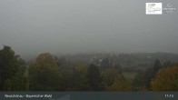 Archiv Foto Webcam Neuschönau - Besucherzentrum Nationalpark Bayerischer Wald 10:00