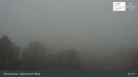 Archiv Foto Webcam Neuschönau - Besucherzentrum Nationalpark Bayerischer Wald 12:00