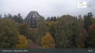 Archiv Foto Webcam Neuschönau - Besucherzentrum Nationalpark Bayerischer Wald 18:00