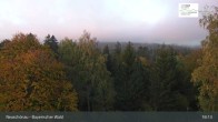 Archiv Foto Webcam Neuschönau - Besucherzentrum Nationalpark Bayerischer Wald 02:00