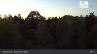 Archived image Webcam Neuschönau - Visitor center Lusen National Park 00:00