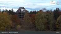 Archiv Foto Webcam Neuschönau - Besucherzentrum Nationalpark Bayerischer Wald 07:00