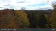 Archiv Foto Webcam Neuschönau - Besucherzentrum Nationalpark Bayerischer Wald 08:00