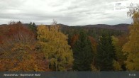 Archiv Foto Webcam Neuschönau - Besucherzentrum Nationalpark Bayerischer Wald 10:00