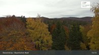 Archiv Foto Webcam Neuschönau - Besucherzentrum Nationalpark Bayerischer Wald 12:00