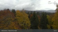 Archiv Foto Webcam Neuschönau - Besucherzentrum Nationalpark Bayerischer Wald 14:00