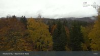 Archiv Foto Webcam Neuschönau - Besucherzentrum Nationalpark Bayerischer Wald 16:00