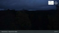 Archiv Foto Webcam Neuschönau - Besucherzentrum Nationalpark Bayerischer Wald 06:00
