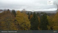 Archiv Foto Webcam Neuschönau - Besucherzentrum Nationalpark Bayerischer Wald 08:00