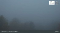 Archived image Webcam Neuschönau - Visitor center Lusen National Park 06:00