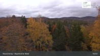 Archiv Foto Webcam Neuschönau - Besucherzentrum Nationalpark Bayerischer Wald 00:00