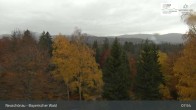 Archiv Foto Webcam Neuschönau - Besucherzentrum Nationalpark Bayerischer Wald 07:00