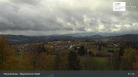 Archiv Foto Webcam Neuschönau - Besucherzentrum Nationalpark Bayerischer Wald 10:00