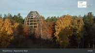 Archiv Foto Webcam Neuschönau - Besucherzentrum Nationalpark Bayerischer Wald 07:00