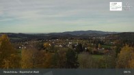 Archiv Foto Webcam Neuschönau - Besucherzentrum Nationalpark Bayerischer Wald 08:00