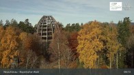 Archiv Foto Webcam Neuschönau - Besucherzentrum Nationalpark Bayerischer Wald 08:00