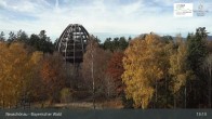 Archiv Foto Webcam Neuschönau - Besucherzentrum Nationalpark Bayerischer Wald 12:00