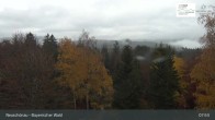 Archived image Webcam Neuschönau - Visitor center Lusen National Park 07:00