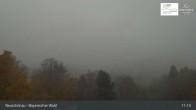 Archiv Foto Webcam Neuschönau - Besucherzentrum Nationalpark Bayerischer Wald 10:00