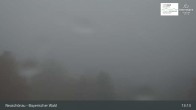 Archiv Foto Webcam Neuschönau - Besucherzentrum Nationalpark Bayerischer Wald 12:00