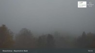 Archiv Foto Webcam Neuschönau - Besucherzentrum Nationalpark Bayerischer Wald 14:00