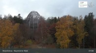 Archiv Foto Webcam Neuschönau - Besucherzentrum Nationalpark Bayerischer Wald 07:00