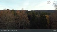 Archiv Foto Webcam Neuschönau - Besucherzentrum Nationalpark Bayerischer Wald 06:00