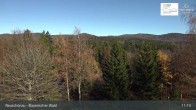 Archived image Webcam Neuschönau - Visitor center Lusen National Park 10:00