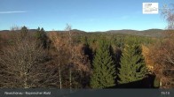 Archived image Webcam Neuschönau - Visitor center Lusen National Park 14:00