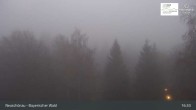 Archiv Foto Webcam Neuschönau - Besucherzentrum Nationalpark Bayerischer Wald 00:00