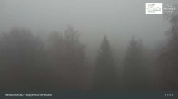 Archiv Foto Webcam Neuschönau - Besucherzentrum Nationalpark Bayerischer Wald 10:00