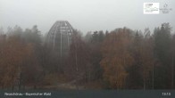 Archiv Foto Webcam Neuschönau - Besucherzentrum Nationalpark Bayerischer Wald 12:00