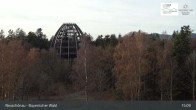 Archiv Foto Webcam Neuschönau - Besucherzentrum Nationalpark Bayerischer Wald 14:00