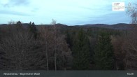 Archiv Foto Webcam Neuschönau - Besucherzentrum Nationalpark Bayerischer Wald 16:00