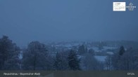 Archiv Foto Webcam Neuschönau - Besucherzentrum Nationalpark Bayerischer Wald 06:00