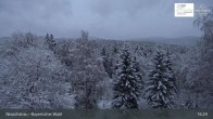 Archiv Foto Webcam Neuschönau - Besucherzentrum Nationalpark Bayerischer Wald 00:00