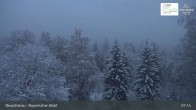Archiv Foto Webcam Neuschönau - Besucherzentrum Nationalpark Bayerischer Wald 06:00