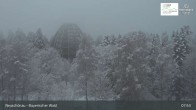 Archiv Foto Webcam Neuschönau - Besucherzentrum Nationalpark Bayerischer Wald 07:00