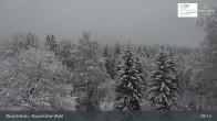 Archiv Foto Webcam Neuschönau - Besucherzentrum Nationalpark Bayerischer Wald 08:00