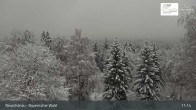 Archiv Foto Webcam Neuschönau - Besucherzentrum Nationalpark Bayerischer Wald 10:00