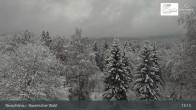 Archiv Foto Webcam Neuschönau - Besucherzentrum Nationalpark Bayerischer Wald 12:00