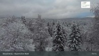 Archiv Foto Webcam Neuschönau - Besucherzentrum Nationalpark Bayerischer Wald 14:00