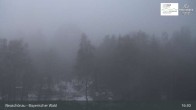 Archiv Foto Webcam Neuschönau - Besucherzentrum Nationalpark Bayerischer Wald 02:00