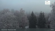 Archived image Webcam Neuschönau - Visitor center Lusen National Park 07:00